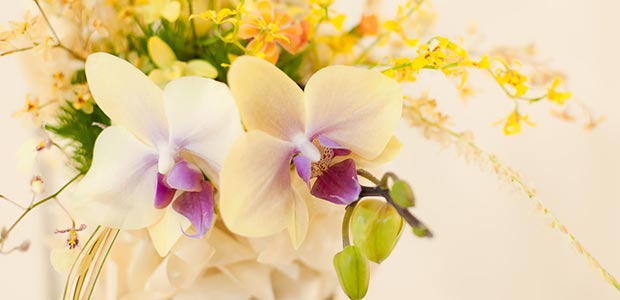 アレンジメント